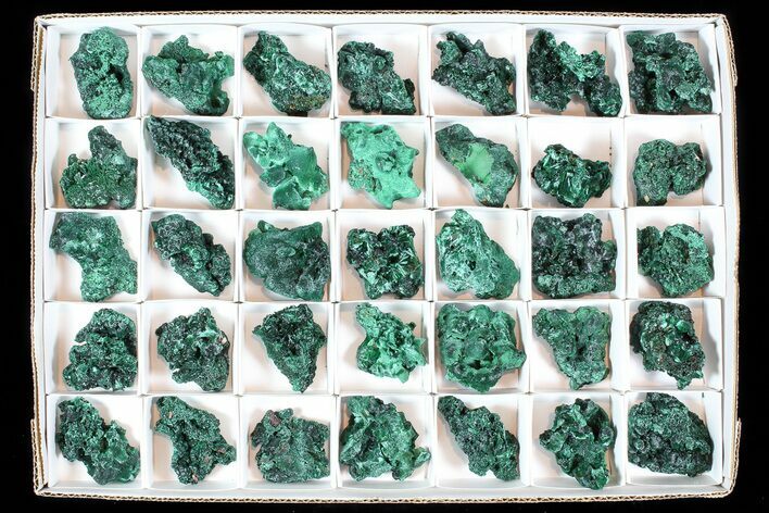 Lot: Gorgeous Fibrous Malachite From Congo - Pieces #77806